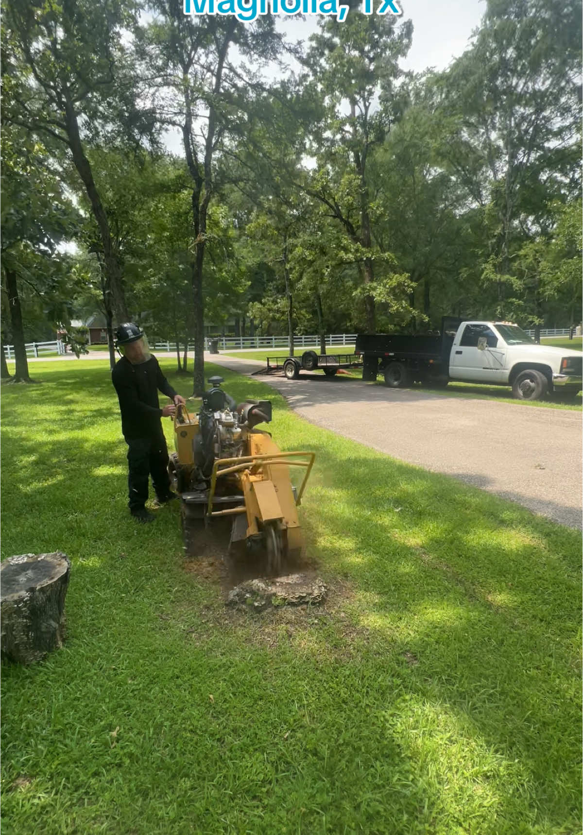 #banditsg40 #ewaldkubota #vermeer362 #businessowner #stumpgrindingservices #stumpremovalconroetx #stumpremovalhouston #stumpremovalmontgomerytx #stumpremovalhumble #stumpremovalspringtx #stumpgrinding #stumpremovalegypttx #stumpremovalmagnoliatx #stumpremovalcypresstx #stumpremovalservices #stumpremoval 
