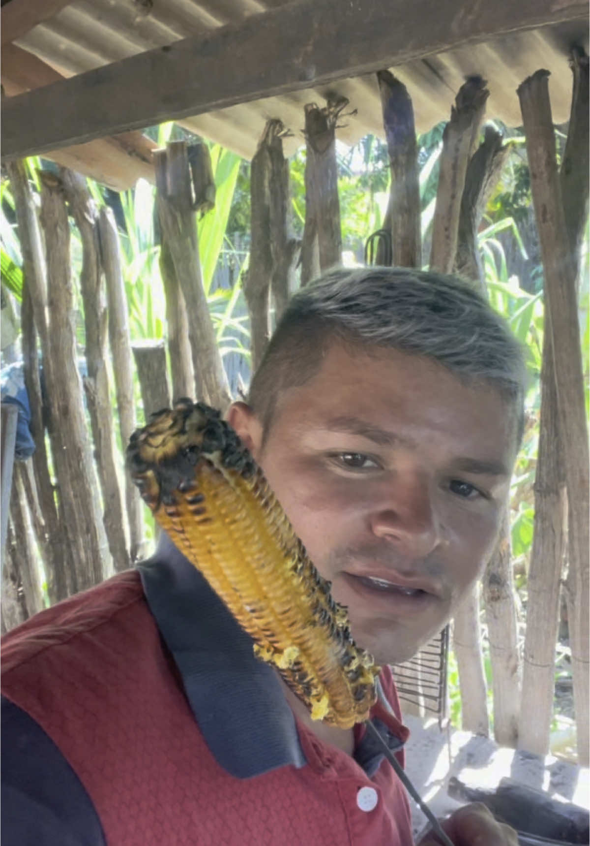 Tem coisa melhor não 🌽😋#video #viral #comedia 