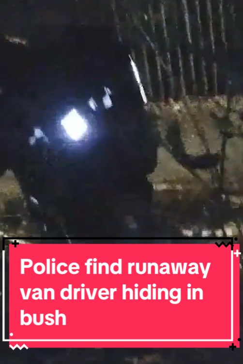 ⬆️ FULL STORY | A man hid in a bush after he drove into a dead end while being chased by police | #Wales #walesonline #southwales #crime #swansea 