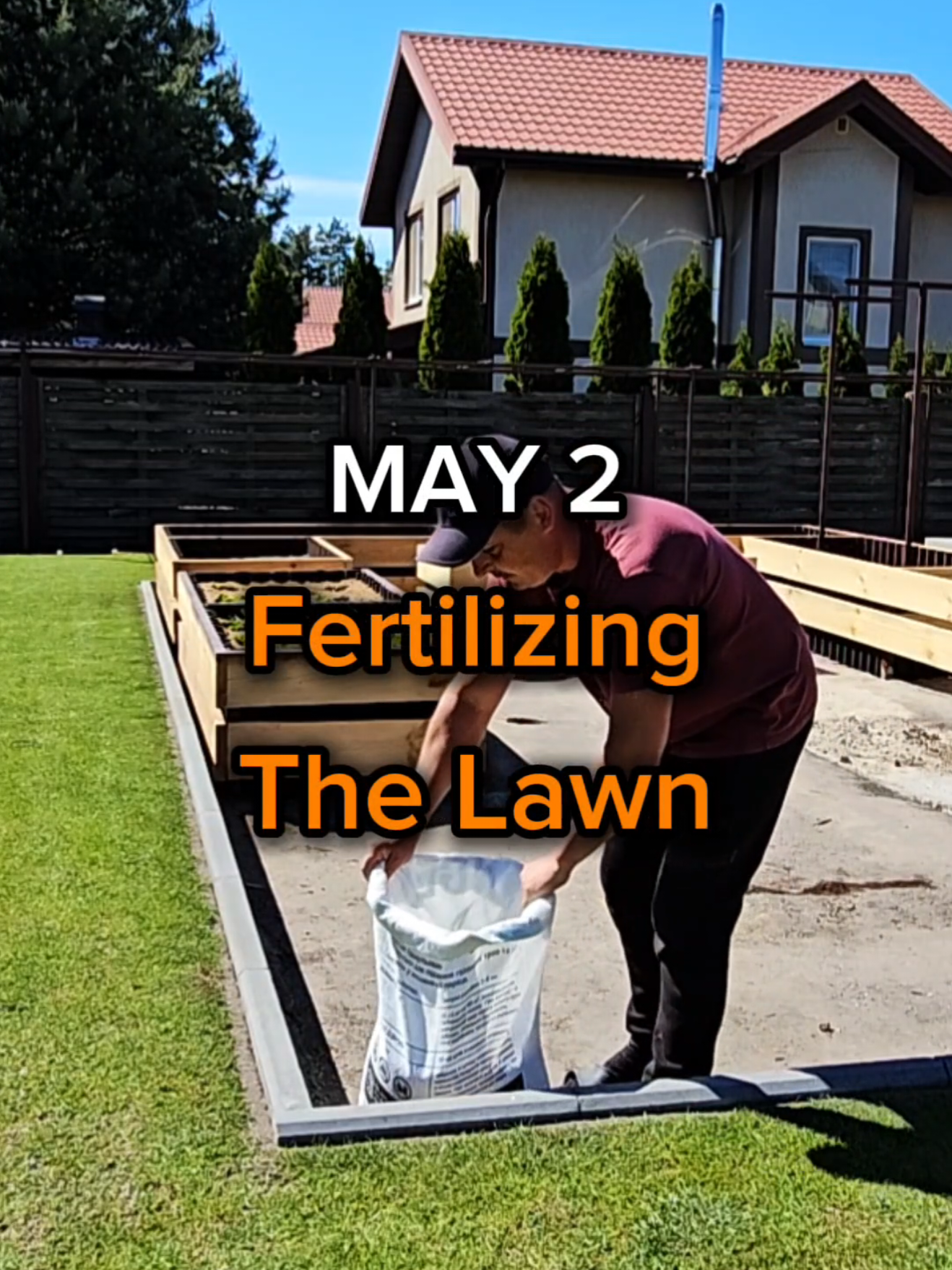Lawn Transformation It's time to fertilize the lawn. Our lawn is already six years old; it was done by my wife and I. I tried fertilizing the lawn at different times, but the most ideal time (in my opinion) is the beginning of May. The rainy season is starting and it will start growing very quickly. As a fertilizer, I use a balanced mineral fertilizer for lawn grass. I sprinkle the fertilizer by hand and as evenly as possible so that the lawn grows uniformly. I don’t use too much fertilizer so that the grass doesn’t burn, but I use more than what’s written in the instructions. After I sprinkle the fertilizer, I water the lawn generously, but I don’t make a swamp. In a few days, the lawn will change dramatically. #lawncare #transformation #DIY #gardening #GardeningForBeginners 