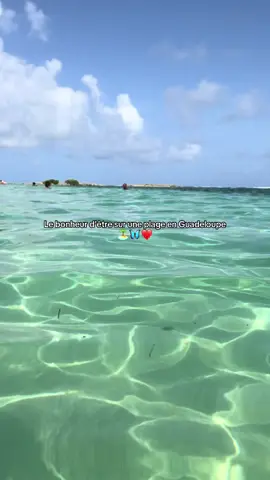 L’archipel aux belles eaux 🦋❤️ #guadeloupe #antilles #caribbean  #vacances #guadeloupe971 #971 
