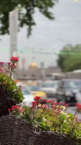 #يارب_للرضا_ودي_بزيارة 