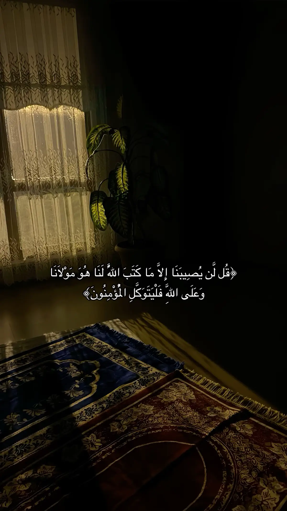 #صدقه_جاريه #quran #اجر_لي_ولكم 