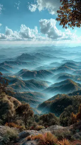 #nature #beautifulnature #naturevibes #beauty #beautifulscenery #scenery #sceneryvideos #beautifulview #view #beautifuldestinations #scenicviews #viral_video #fyp 