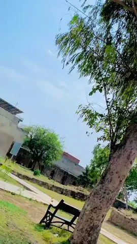 ......👑🌺#unfreezemyacount🙏🏼😞 #viralvideo #foryoupage  @🦅𝑺𝑯𝑨𝑯 𝑺𝑨𝑯𝑨𝑩 🦅  @🥀Ǎ(«»)B🥀 اور گونی💫  @💫 Z  A  R  K  E  E  💫  