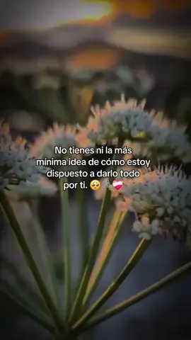 Por ti lo doy todo 🥺🖇❤️‍🩹