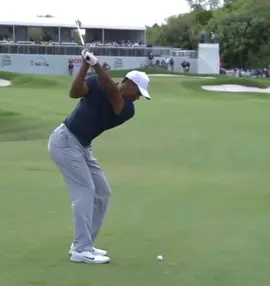 Tiger woods golf swing #golfr #golf #golfaddict #golftiktok #golfswing #fyp #tiktokusa #golflover #tigerwoods #pga #PGATOUR 