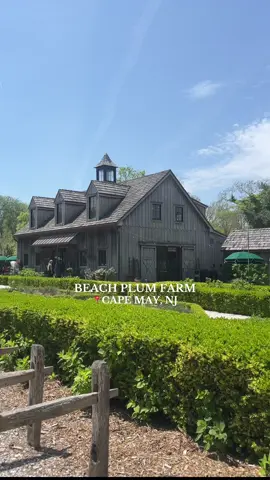 All of my favorite things in one place 😍 Beach Plum Farm • Cape May, NJ — a must visit  #wellness #farmersmarket #capemay 