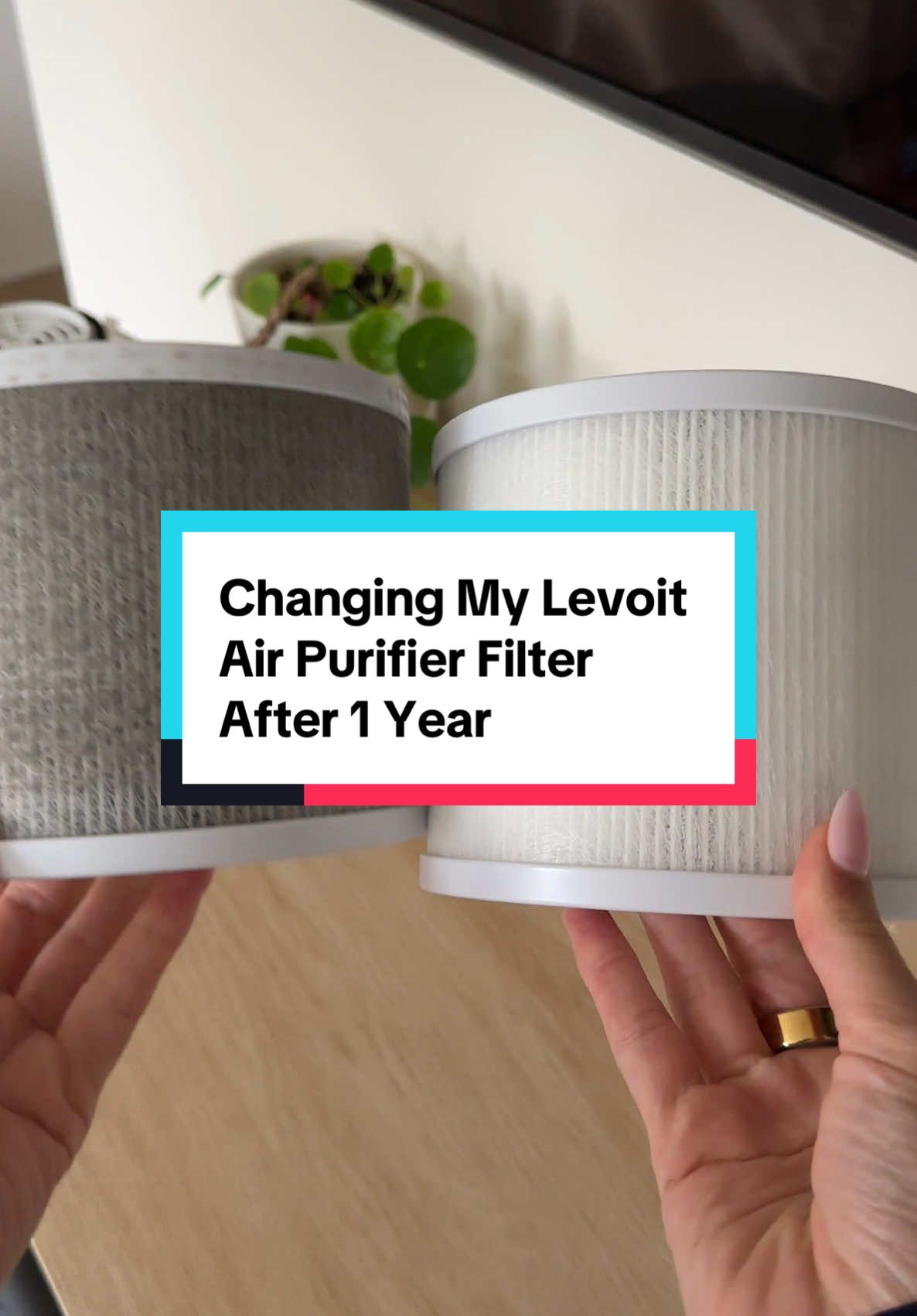 I hadn’t changed my filter in over a year🫣 Changing it every 6-12 months is essential to keep it working well @Levoit_official  #levoit #levoitairpurifier #airfilter #petparent #petessentials #catmom #catessential #dogmom 