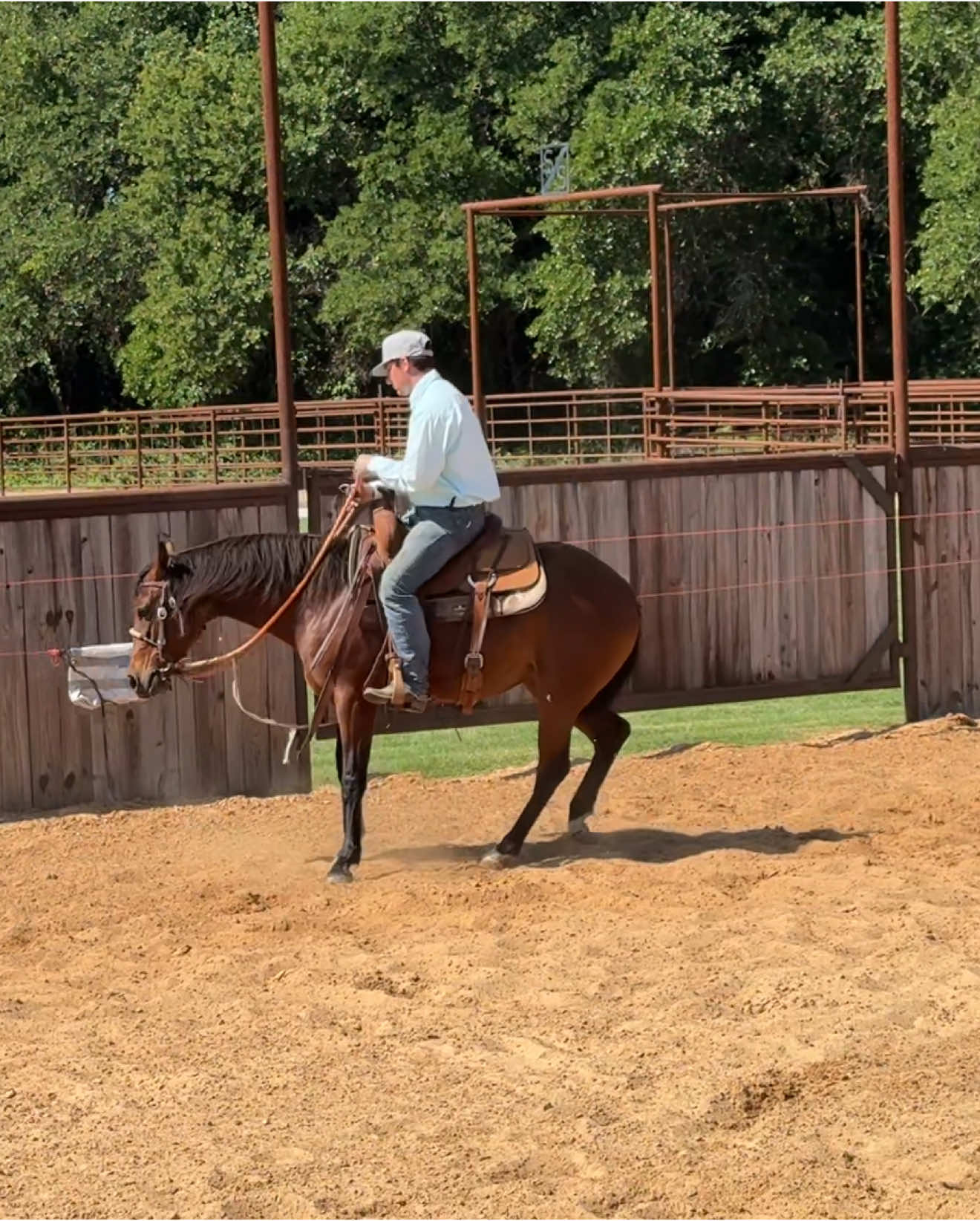 💜Bama Be Mine💜 “Venus” 2 yr old by Bama Jelly x Dual Rey’s Ms Bobbi  #FreezeCuttingHorses #SniderCuttingHorses #2yearoldtrainer #CuttingHorses #CuttingHorse #DualReysMsBobbi #ShermanLivestockandLand #BamaJelly