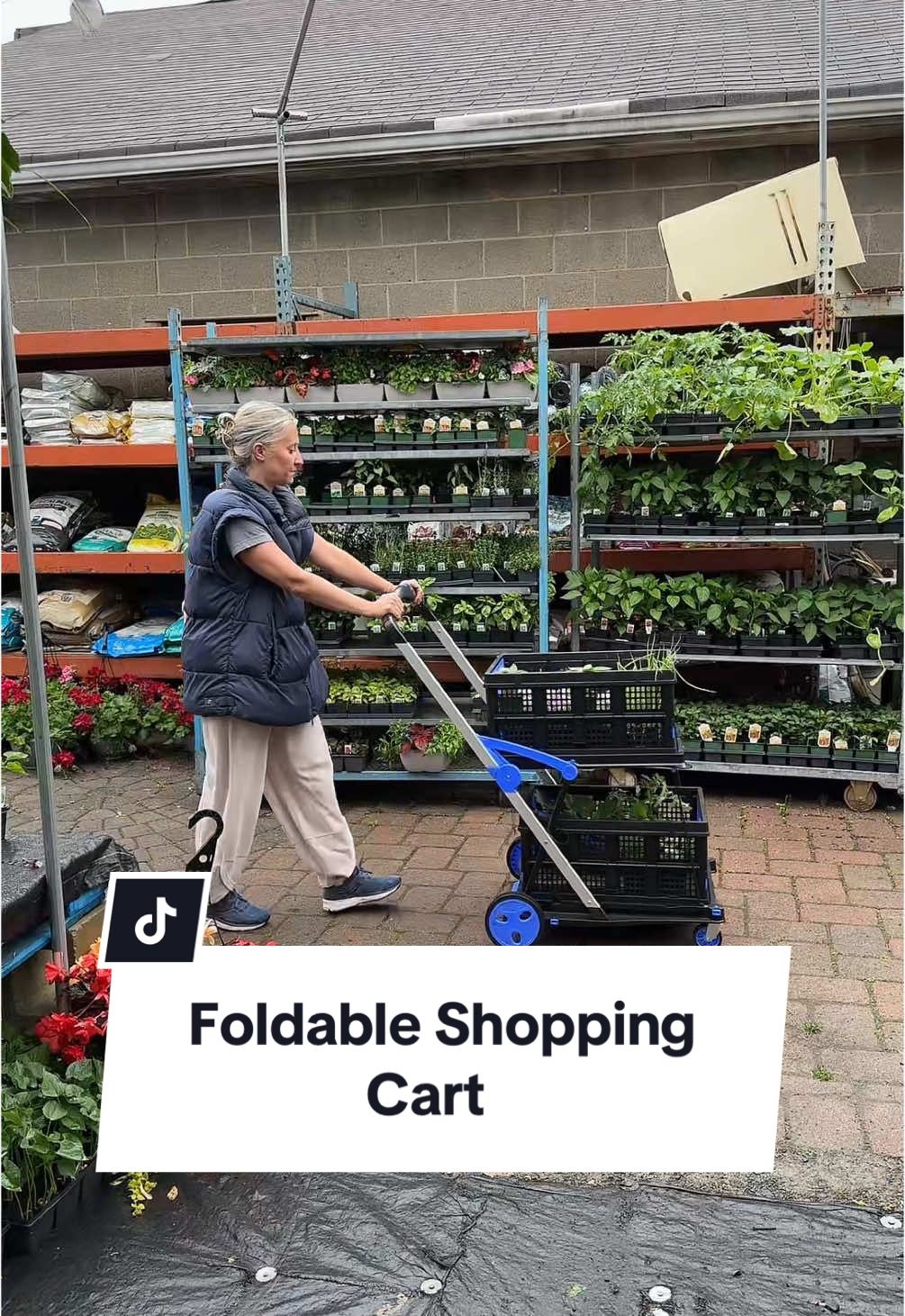 I’ve been using my 2 tier shopping cart everywhere I go and it’s even better than I imagined it would be. #foldableshoppingcart #shoppingcart #tiktokshopmothersday 