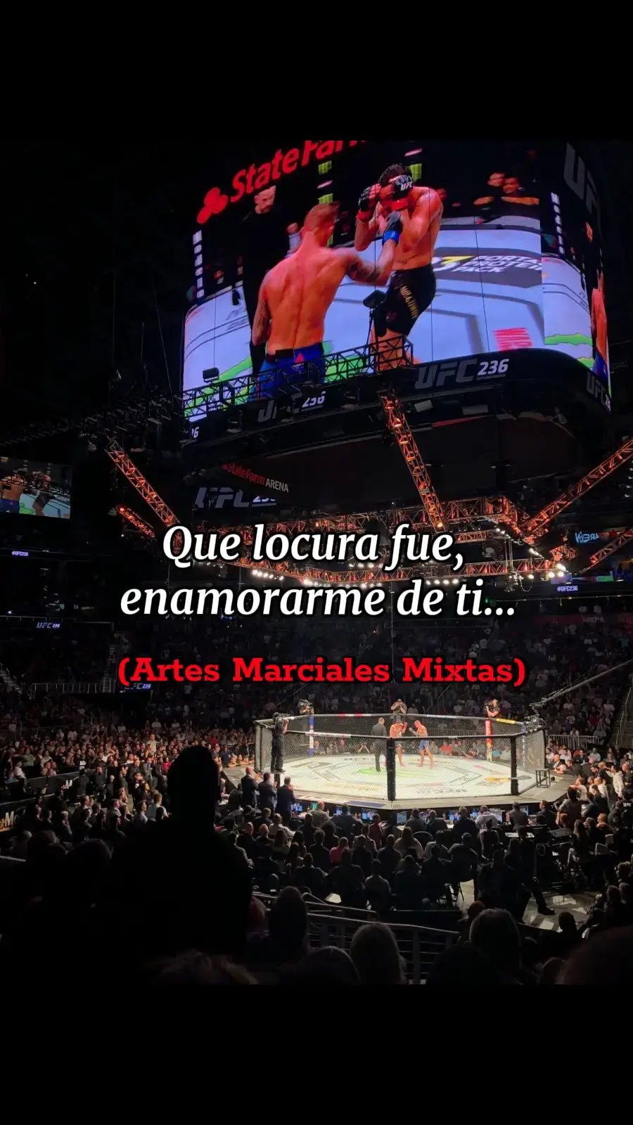#mma #UFC #fypシ゚ 