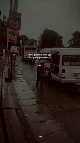 🥺💔 #sinhalaquotes #sinhalawadan #fyyyyyyyyyyyyyyyy #foryoupage #quotes #quotes #fypシ゚ #whatsappstatus #viral #whatsappstatus #fvpシ #fypシ゚ #foryou #quotes #videoviral #vairalvideo #necky #quotes #sinhalaquotes #foryou #sinhalawadan #sinhalaquotes #fvpシ 