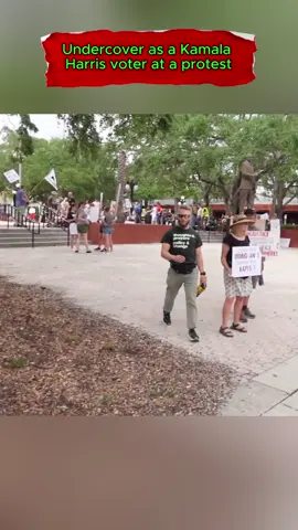 P-0-2 Undercover as a Kamala Harris voter at a protest