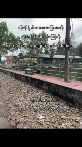 စိတ်ပျက်သွားလို့မဖြစ်ဘူးအချစ်ရေ #fypp 