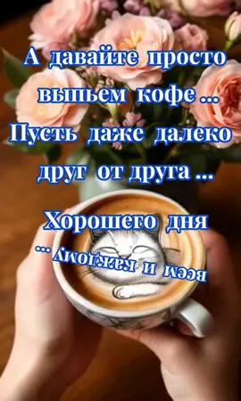 #доброеутродрузья #дрброеутро 
