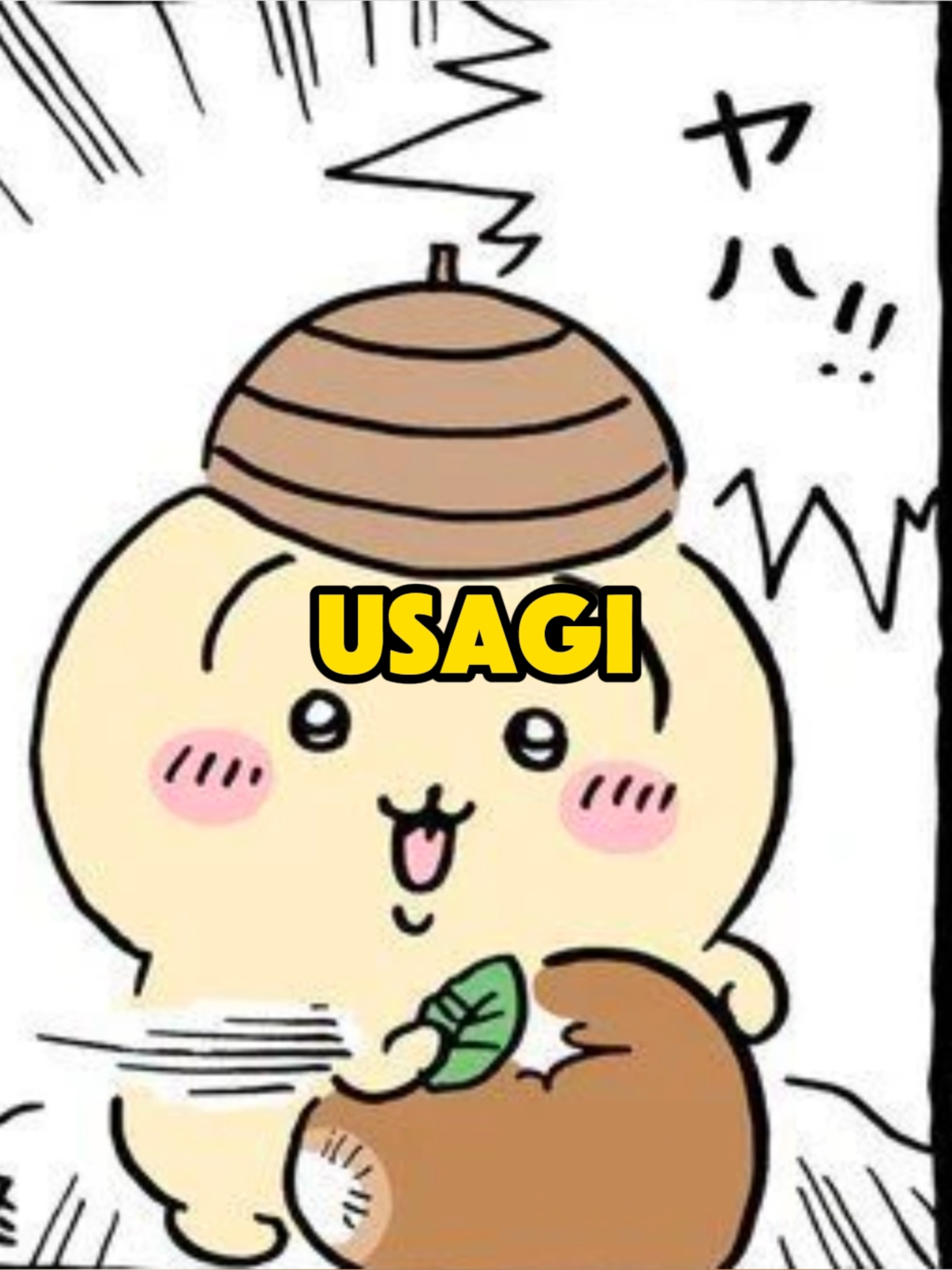 Why Does Usagi Appear So Rarely?#chiikawa #hachi #usagi #anime