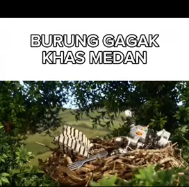 pompa pompa #shaundthesheep #pompa #medan