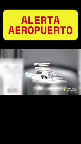 Cerveza, Mentiras Y Droga Líquida P2 - Alerta Aeropuerto#fyp #xzyabc #parati #viral #alertaaeropuerto