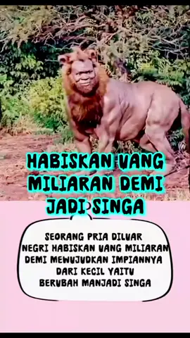 manusia jadi singa #beritaviral2025trendingsekarang  #habiskanuangdemimenjadisinga