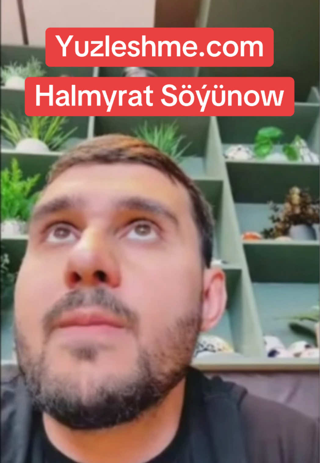Halmyrat Söýünow hakda #talybnyc #talybtkm #tiktok #hsm #turkmenistanhsm #halmyratsoyunov #sweden🇸🇪 #newyork #brooklyn @❤❤❤❤ @.hsmhabar @Yenis Caryyew @Turkmen Yurt Tv @Sahragul Soinova335 @aycahanbulut3 @Leyla @Studio @Sapar Yklymov @FLOKİ 777 @Union @Janan @Hallson 🇹🇲 🇳🇱 Umyt @PAPA KARLO @Atamyrat_saparow 