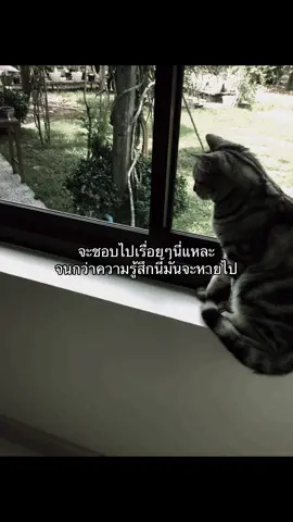 #fyp #ฟีด #เธรดคําพูด #เธรด #เธรดความรู้สึก #แอบชอบ 