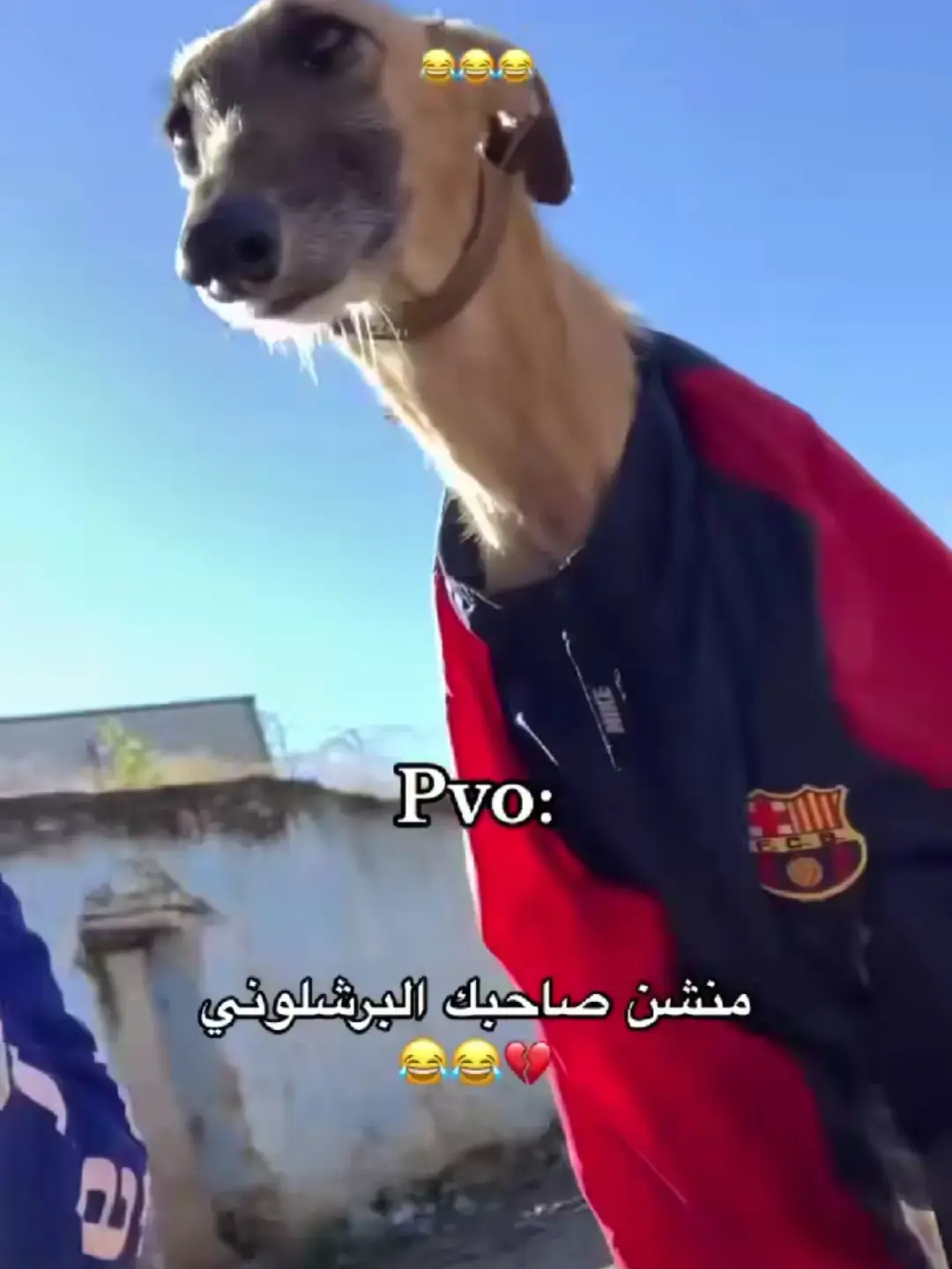 #الشعب_الصيني_ماله_حل😂😂 #برشلونة 