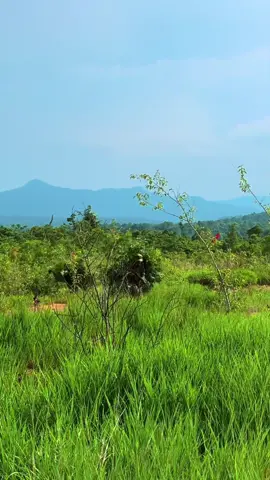 ក្នុុងនាមជាកងកម្លាំងត្រូវហ្វឹកហាត់ពង្រឹងសមត្ថភាពខ្លួនជាប់ជាប្រចាំ#មជ្ឈមណ្ឌលហ្វឹកហ្វឺនកងទព័ជើងគោក🇰🇭 #វគ្គបណ្តុះបណ្តាលនាយទាហានរងថ្មើជើងជំនាន់ទី៣ #យាយម៉ៅពេជ្រនិល #កំពង់ស្ពឺ 