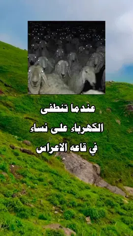 #تصميمي❤️ #جبراتت📮_fypシ゚viral 
