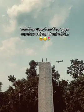 অতিরিক্ত গুরুত্ব দিতে গিয়ে মানুষ এর কাছে সস্তা হয়ে যাওয়া আমি..!! 😅😌🌷@R~ @#foryou @Feni #foryou #mention #💝❤💯 
