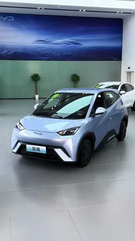 All New 2025 BYD Seagull #byd #bydseagull #seagullev #2025 #cars 