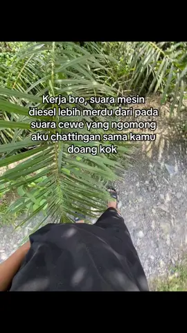 #sawitontiktok #storysawit🌴🌴 #petanisawit 
