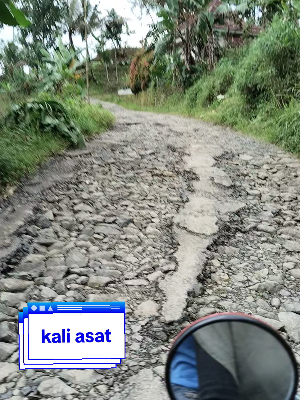 kapan jalanya di cor #watukumpul #soundviral  #pemalang #jalanrusak #fyppppppppppppppppppppppp 