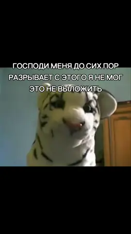 ГОСПОДИ ПОД ЧЕМ ЭТО ПРИДУМАЛ МАКС #брайнмапс #брайнтигршоу #тигршоу 