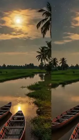 Đêm sáng trăng anh đi dọc bờ sông,anh đi dọc niềm thương nhìn trăng trên nước nổi....#xuhuong #nhacchachacha #lamlamdongthap 