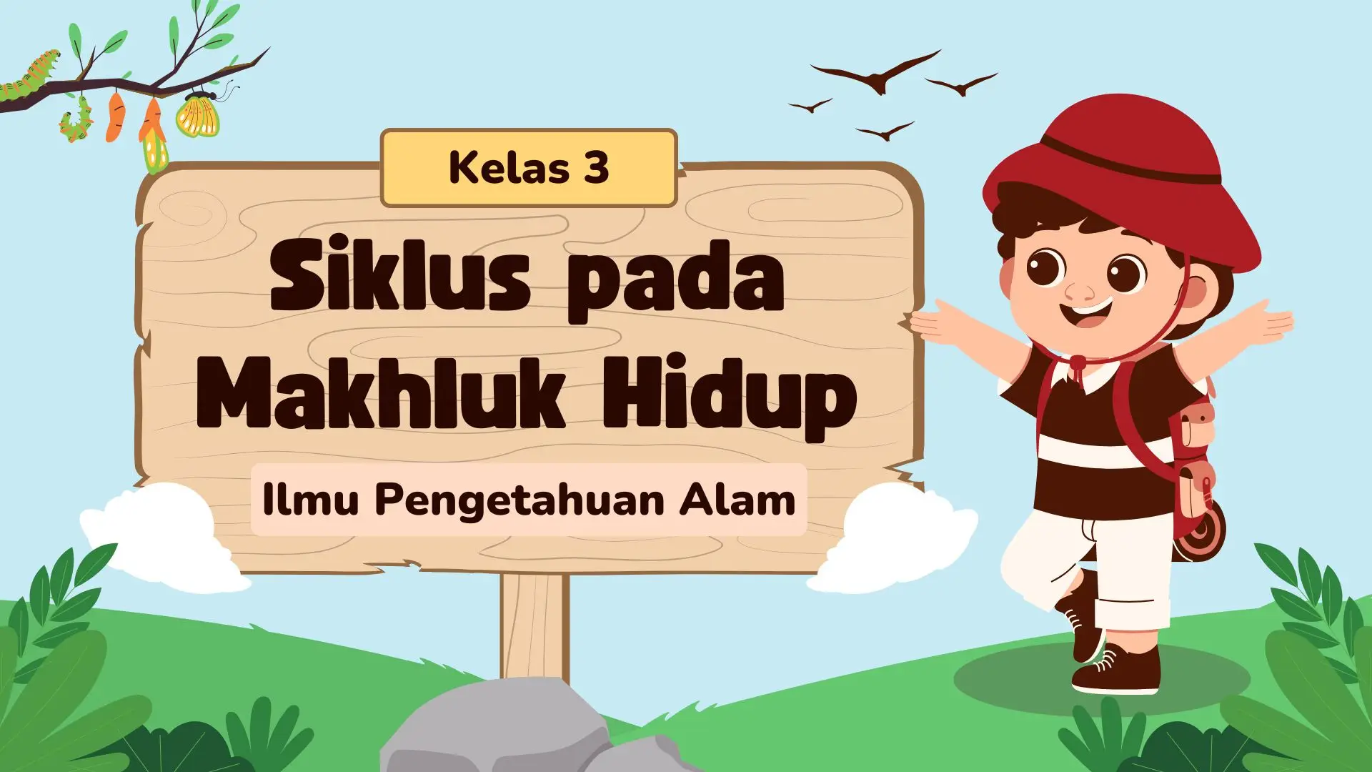 Siklus pada manusia, hewan dan tumbuhan. #siklushidup #bimbelamazingjunior #martapura #siklushewan #materikelas3 