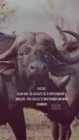 A verdadeira força não faz barulho, ela transforma. Eparrei Oyá 🦋⚡️🔥🐃 #fyp #madureira #riodejaneiro #fyp#orixa#orixa#oya#iansa#umban#candomb#challenge#angola#salve #eparrey #orixamedisse 