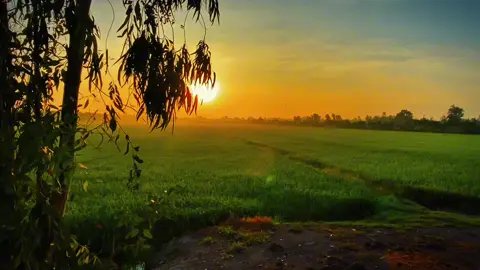 “Một lòng thương nhớ người ta dần xa bóng ai qua cầu…#xuhuong #chill #tamtrang #bìnhyên #mientay #canhdep #mientayquetoi #63tiengiang 