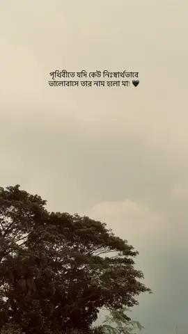 পৃথিবীতে যদি কেউ নিঃস্বার্থভাবে ভালোবাসে তার নাম হলো মা! 🖤 #fy #foryou #foru #fyp #fypage #foryoupage #fyyy #ma #ammu #Love #fyyyyyyyyyyyyyyyy #caption #status #akash #weather #sky #iphone11 #10k #nature 