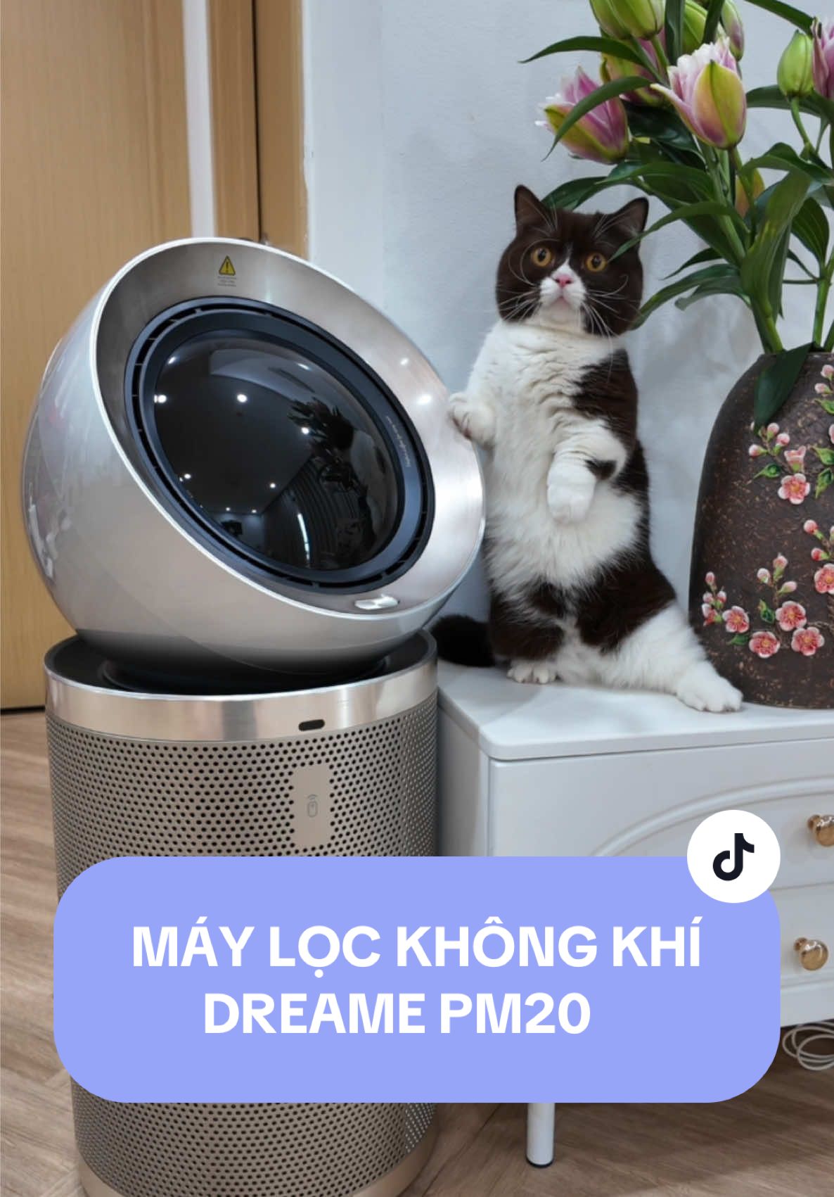Tui cỡ này mấy bà cỡ nào nữa #nhacona #dreamevietnam #dreamepm20 