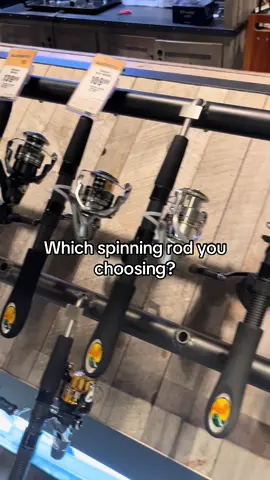 #fishtok #fishing #fishingtiktoks #spinningreel 