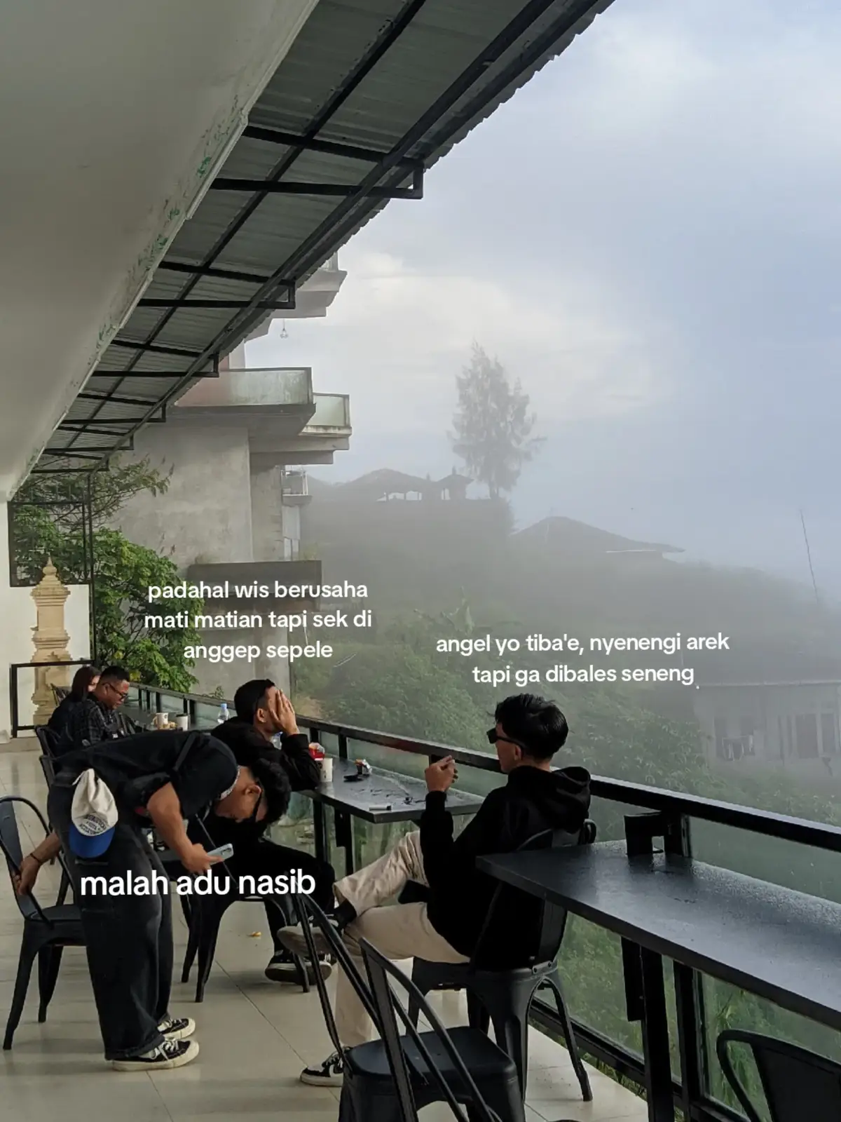 p adu nasib #sinarengan #dennycaknan #dcmusic #fyp #fyppppppppppppppppppppppp #viraltiktok #munculberanda #sadboy #jowopride #jowostory 