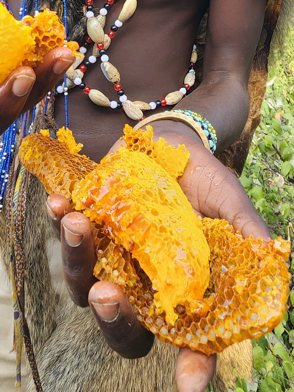 pure honey harvesting #chaaba #dudukwe #hadzabetribe #wildlife #foryou #viralvideo #Africancrazylife 