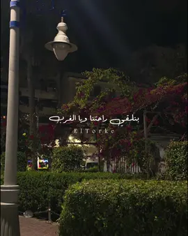 بنلقي راحتنا ويا الغرب 😔❤️‍🩹#virał #foruyou #ElTorke #fyp #تصويري📷 #بورسعيد_واللي_منها #الهضبه #عمرو_دياب 