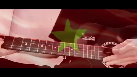 Ta đã thấy gì trong đêm nay...#xuhuong #recap3004 #30_04 #giaiphongmiennam3041975 #dieubinh #cover #guitar 