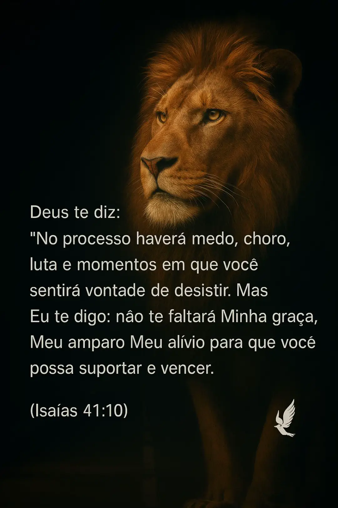 #senhordeusdemilagre #EsperançaEmDeus #CristãoTikTok #CristãoTikTok #palavrasdopai35 #Confiança #palavrasdopai35 #DeusNoControle #mulherqueacredita #palavradodia #salmos #bibliaaberta #confiançaemdeus