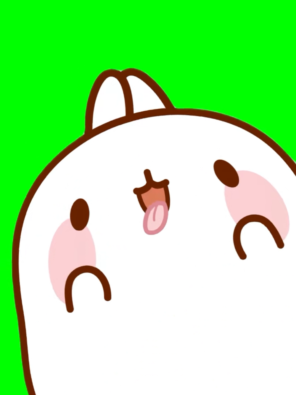 molang bleh meme #bleh #molang #memecut #CapCut 