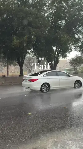 مطر اليوم مو بس مجرد مطر مواساه والله 😭🤍🤍 #مطر #الطايف #مالي_خلق_احط_هاشتاقات #fypシ #foryou #اكسبلورexplore 