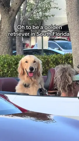 😭❤️