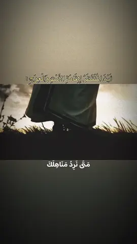 يبن الزهراء..🙏 . .. . . .. . . . #اللهم_عجل_لوليك_الفرج  #ياصاحب_الزمان  #دعاء_الندبة  #حسين_موسى 